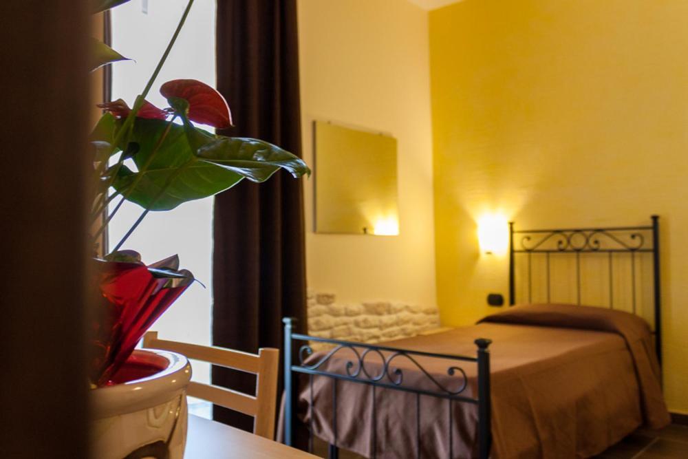 Hotel Zabbara ليكاتا المظهر الخارجي الصورة